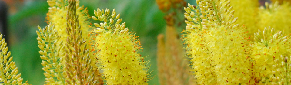 短信验证码轰炸免费